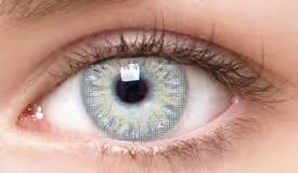 Chic Contact Lenses - Gray