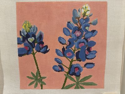 Blue Bonnets (BRP21)