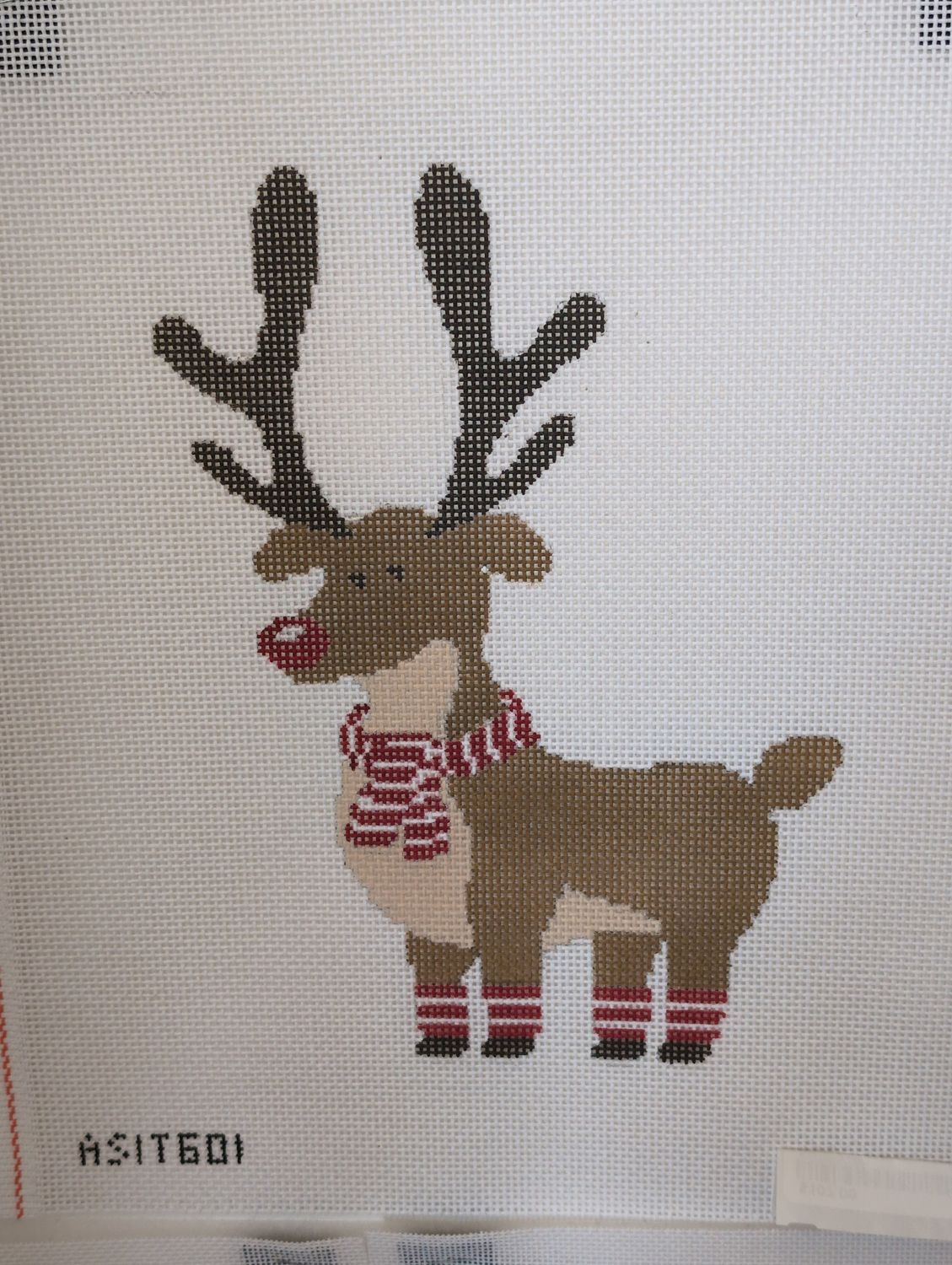 Reindeer (ASIT601)
