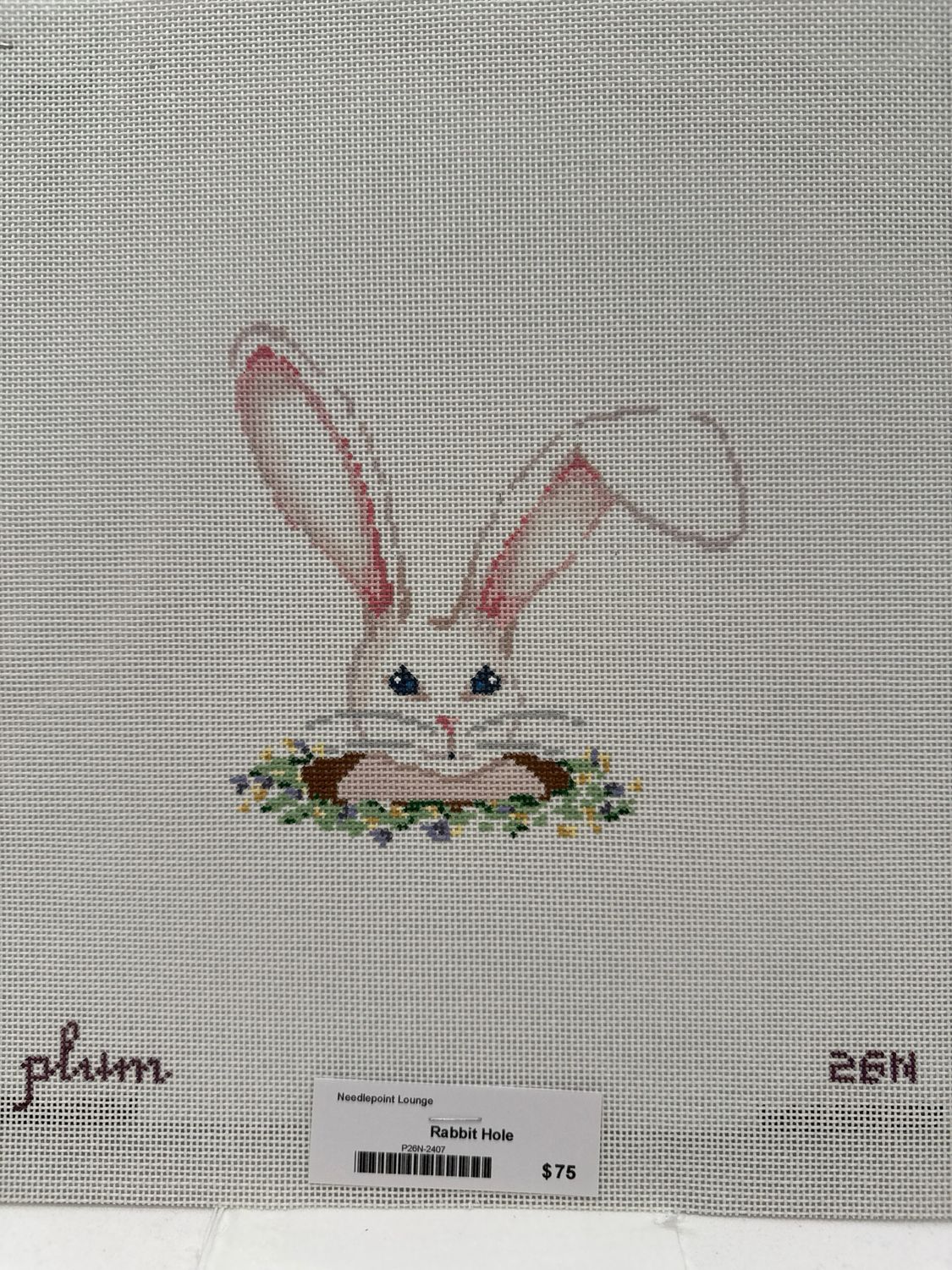 Rabbit Hole (P26N)