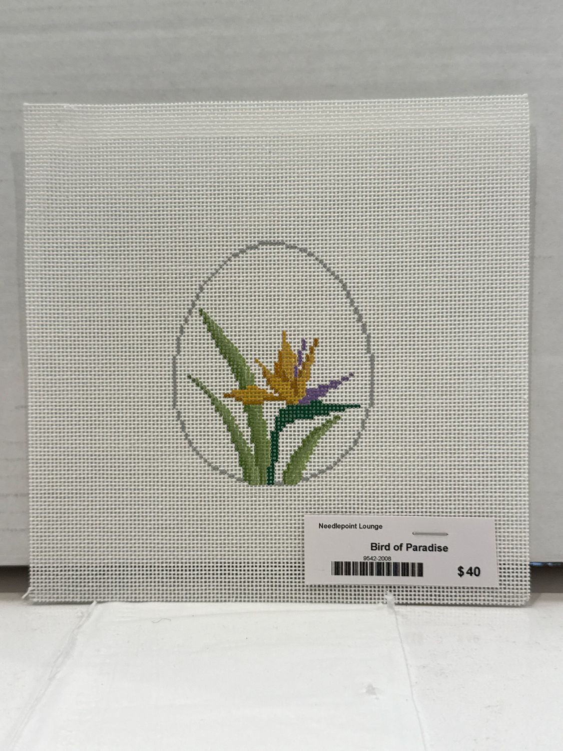 Bird of Paradise (IMG9542)