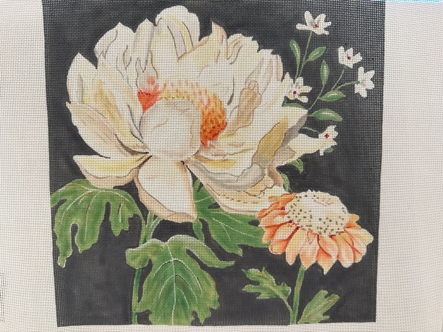 Flower Show (B19)