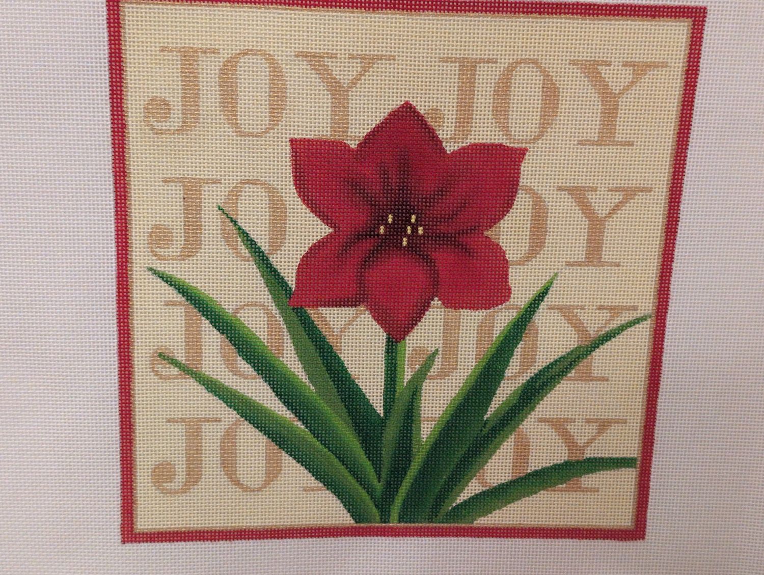 Poinsettia Joy (HO2024)