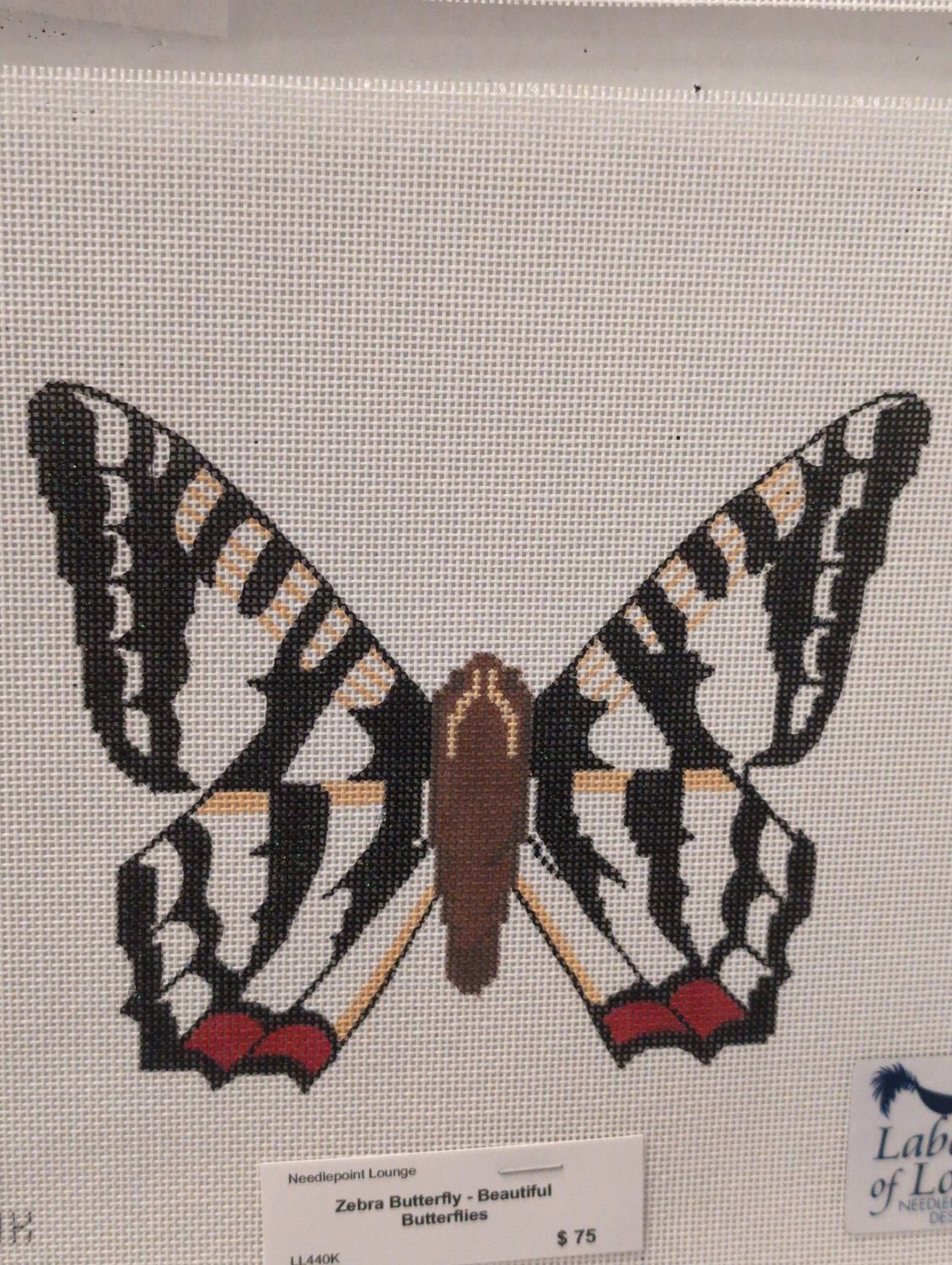 Zebra Butterfly - Beautiful Butterflies