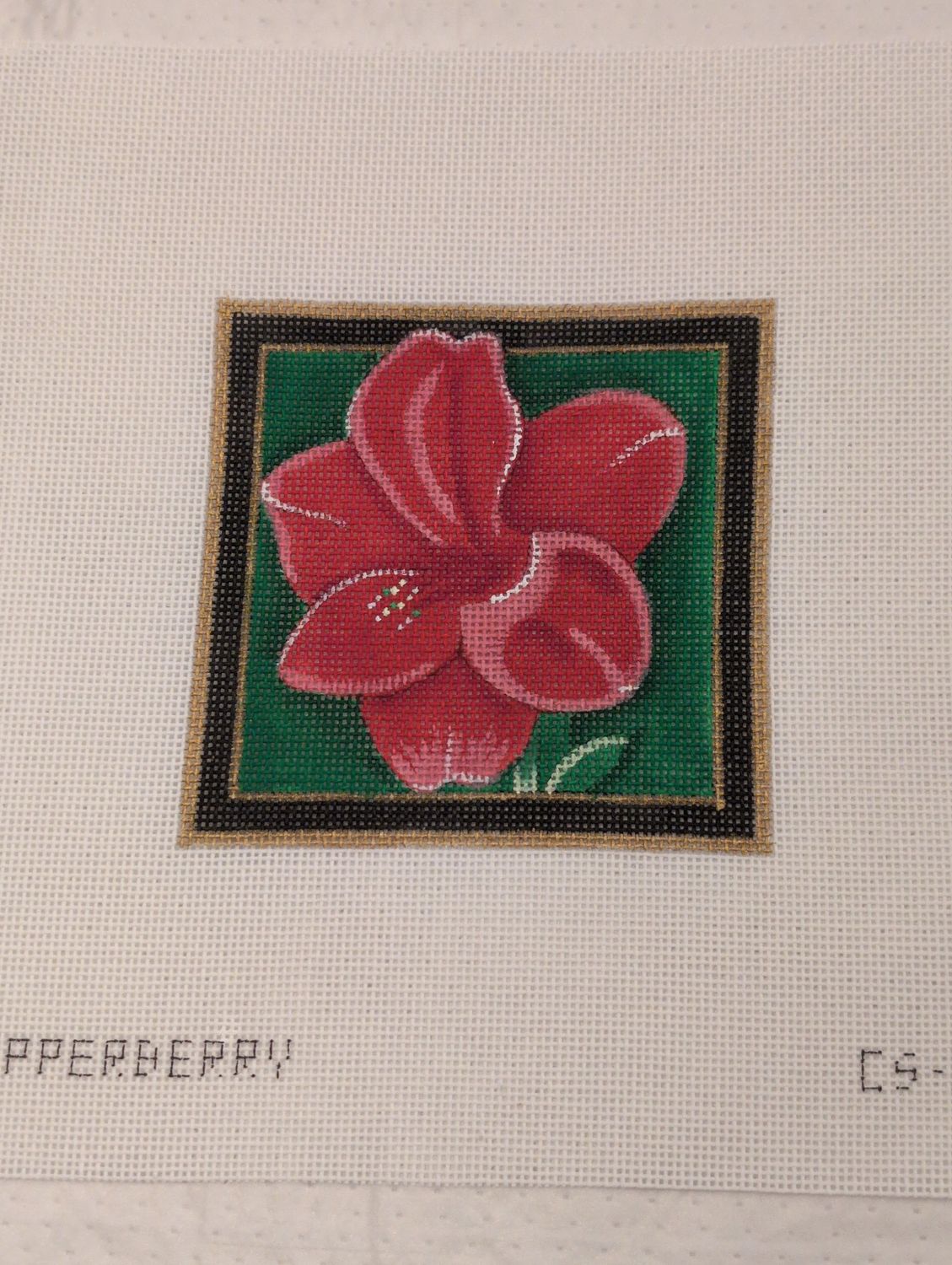 Christmas Coaster, Amaryllis