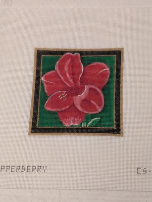 Christmas Coaster, Amaryllis