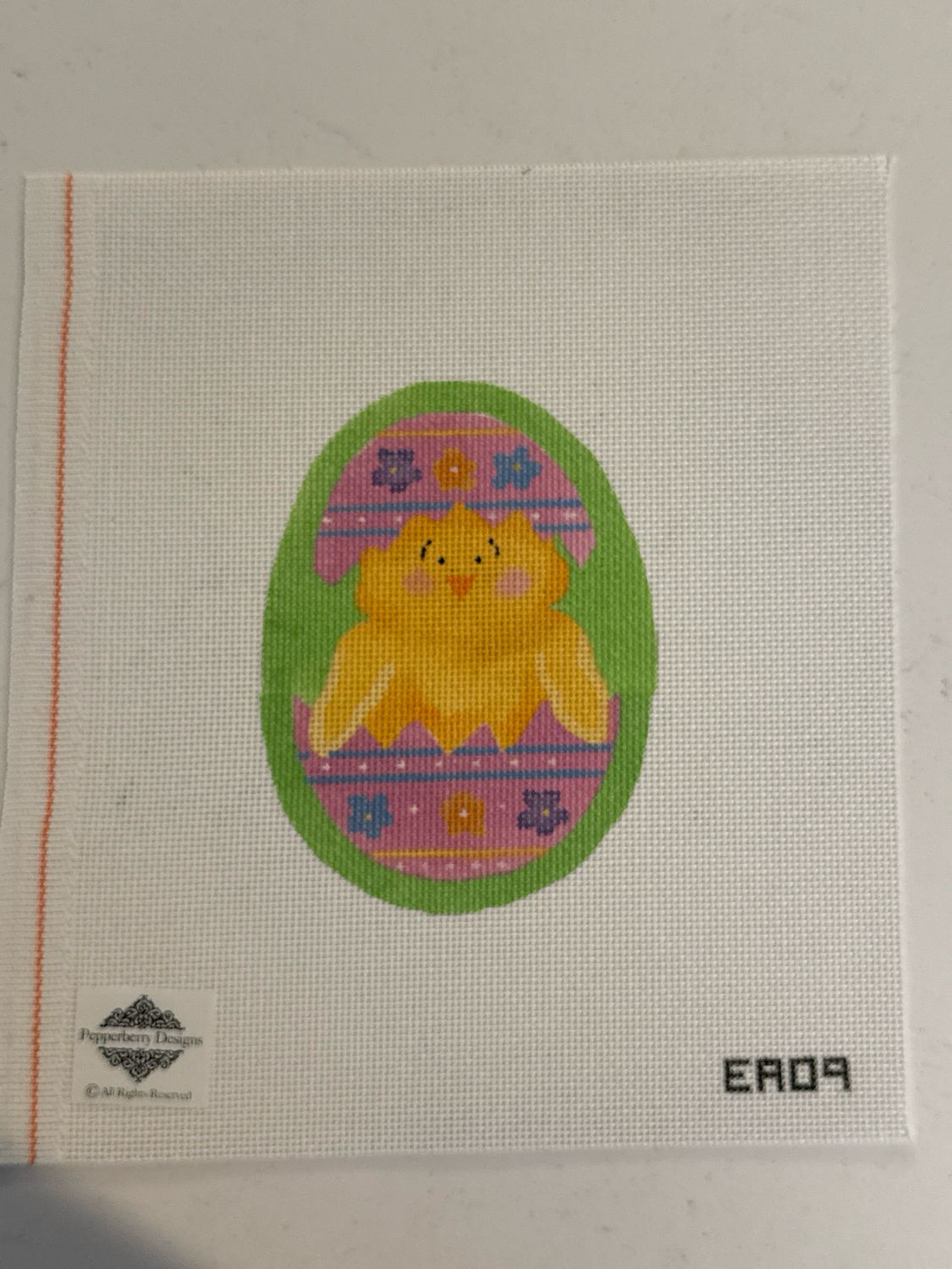 Hatching Chick