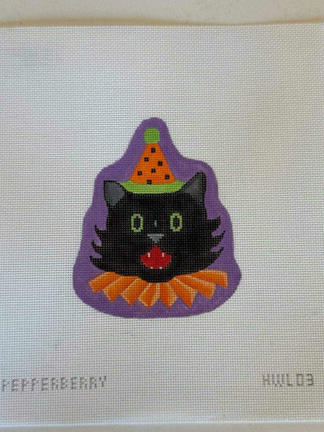 Fancy Black Cat