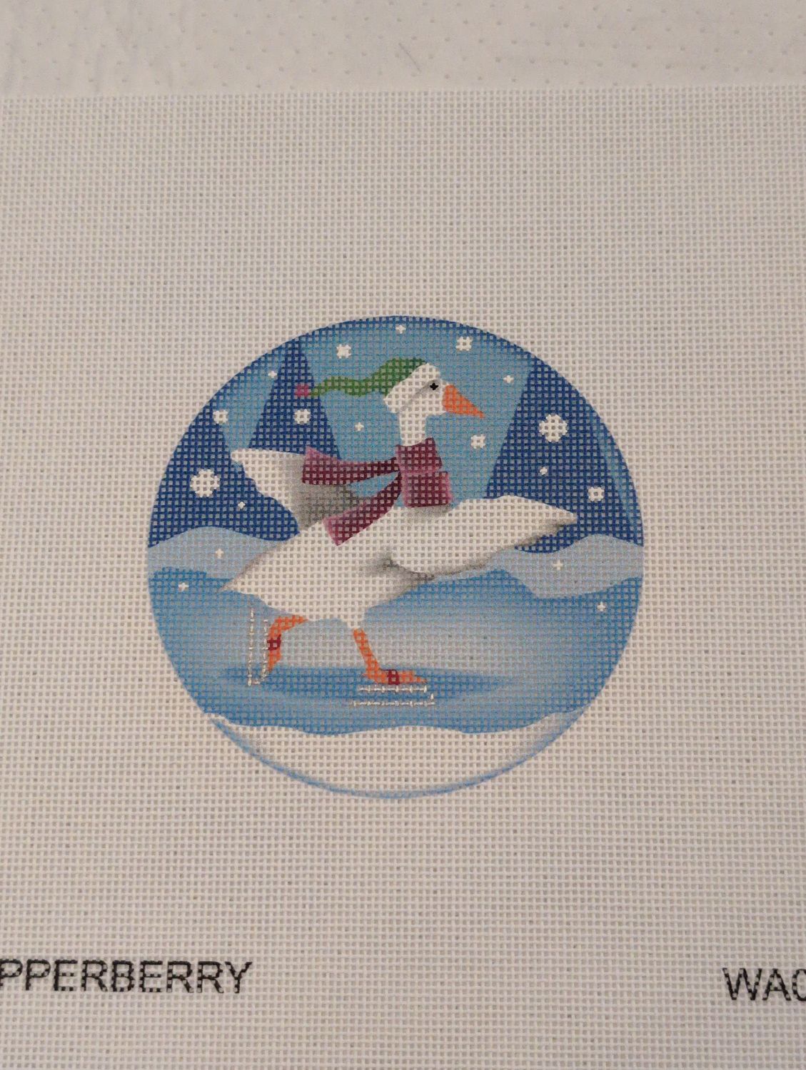 Skating Duck