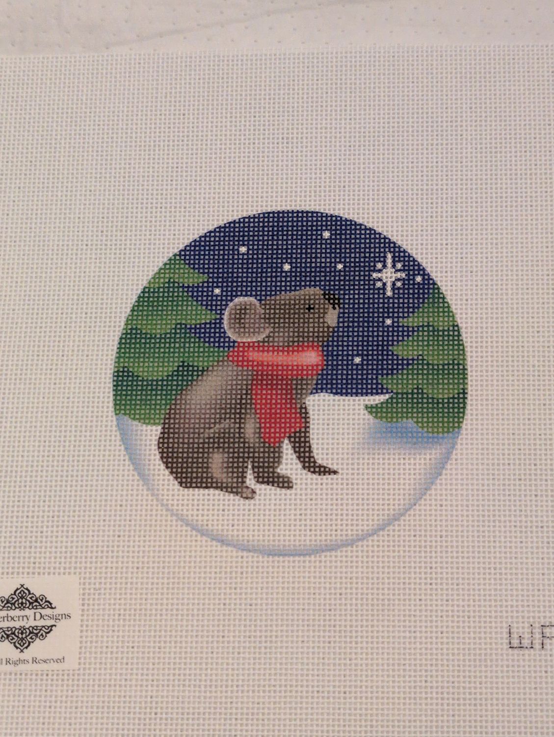 Gazing Koala