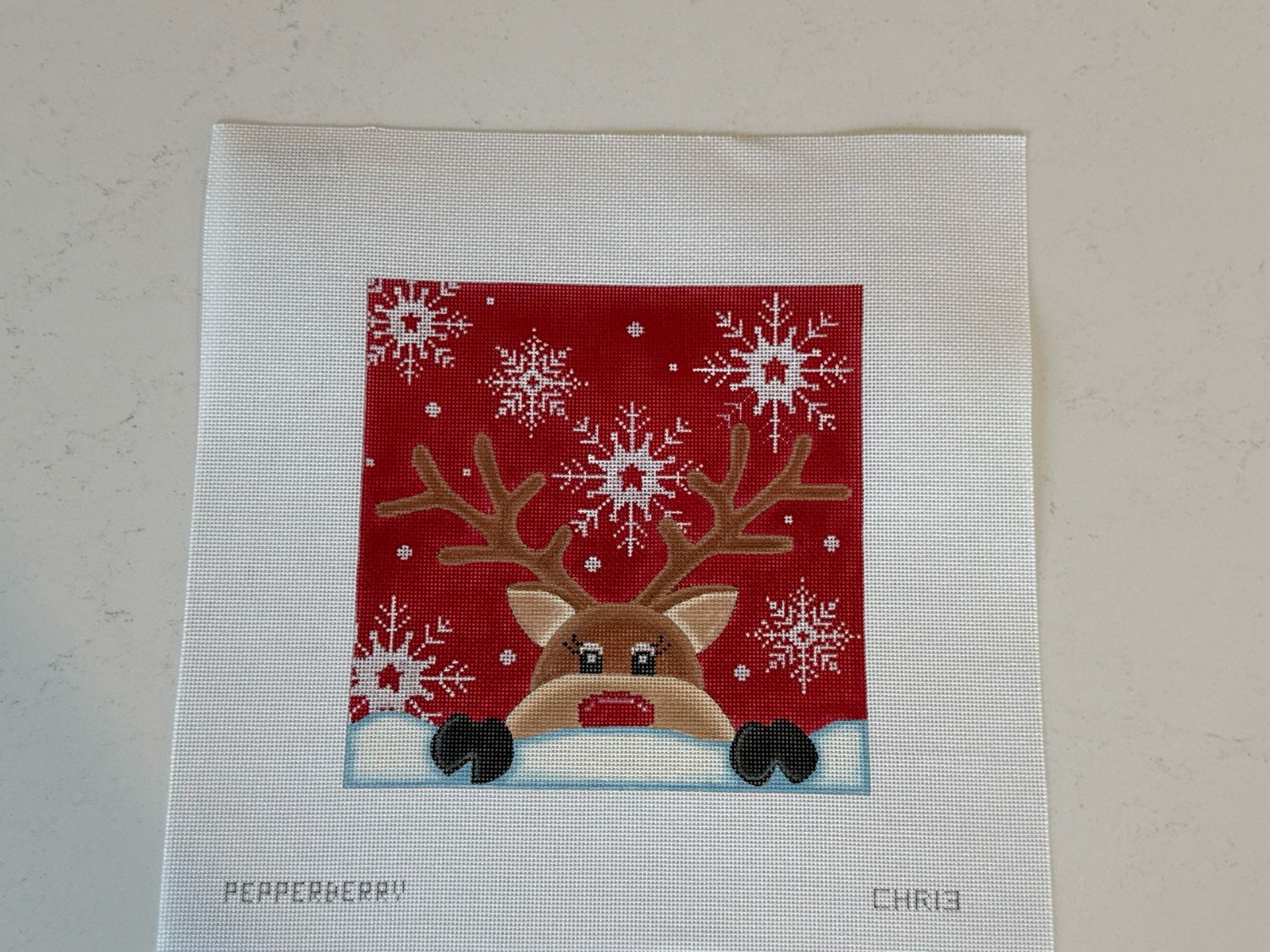 Christmas Spy