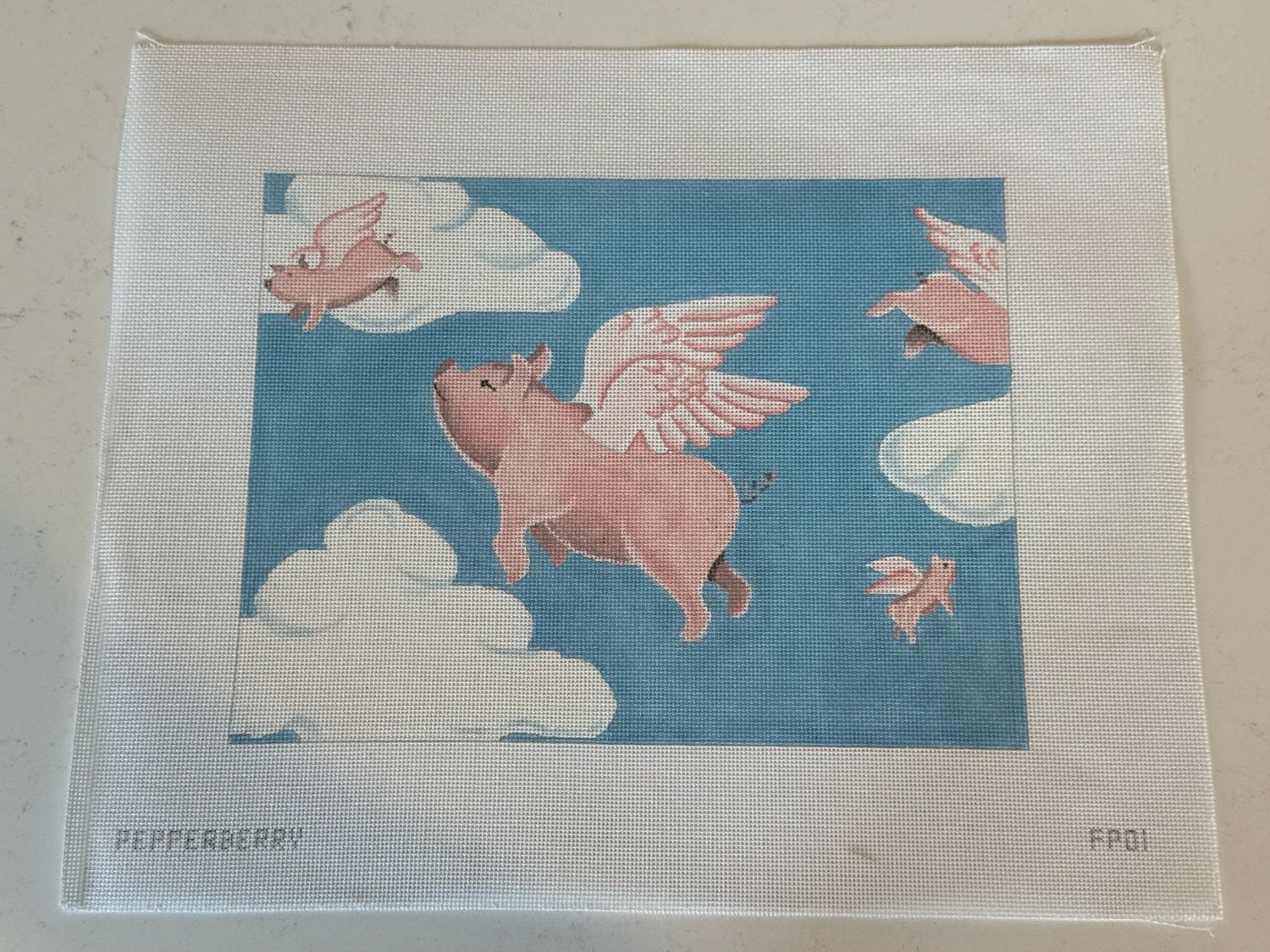 Flying Pigs 18m