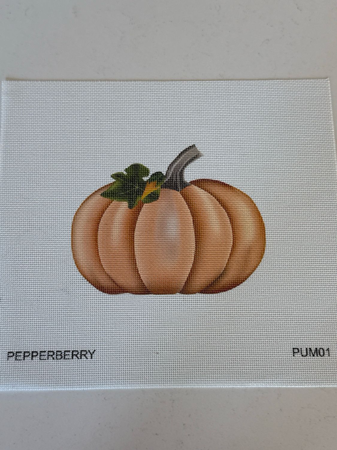 Pale Orange Pumpkin