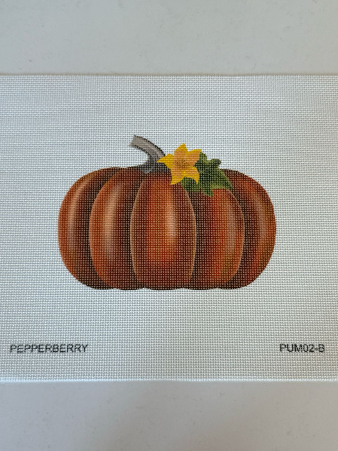 Deep Orange Pumpkin (13 mesh)