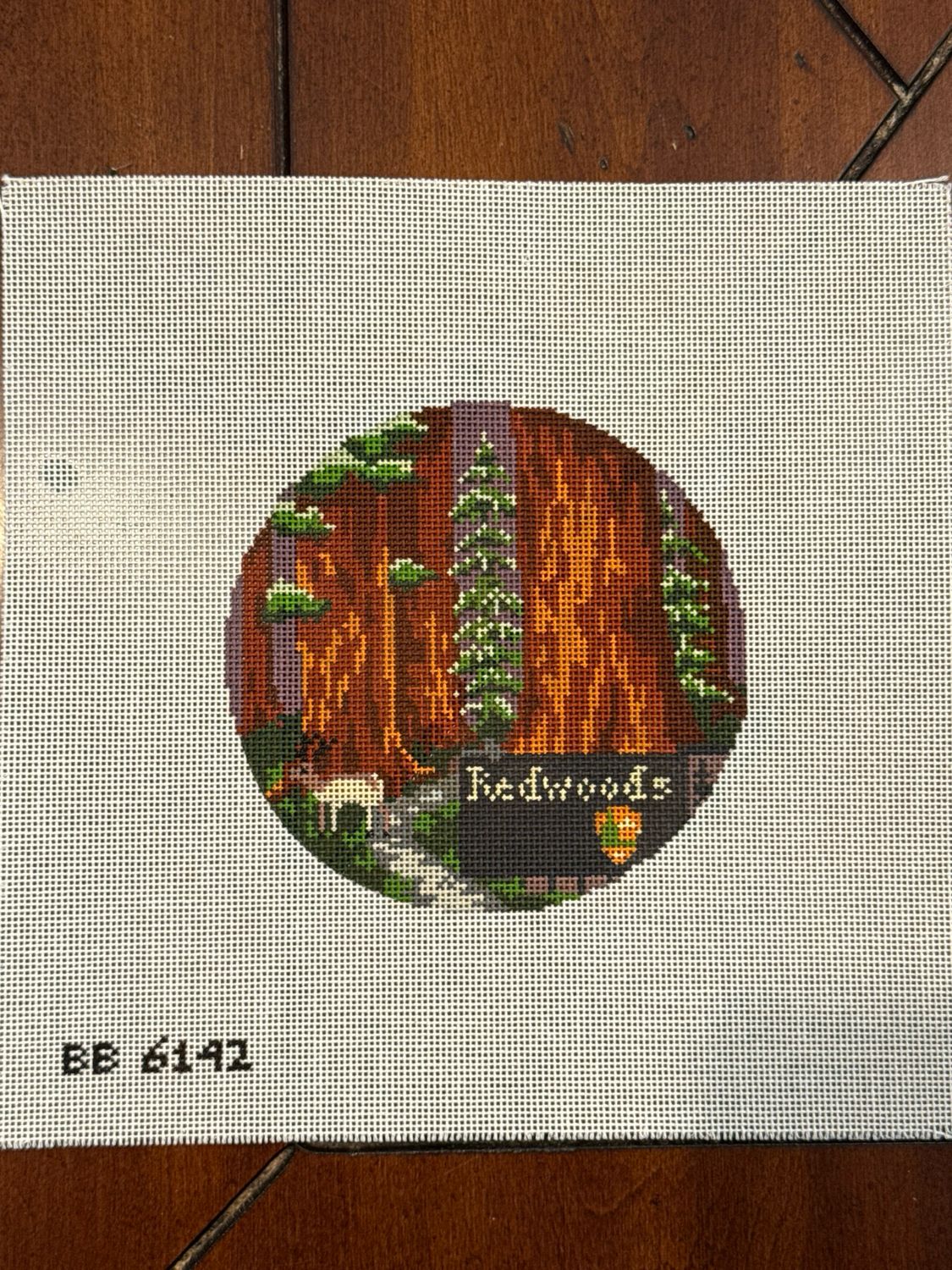 Explore America - Redwoods
