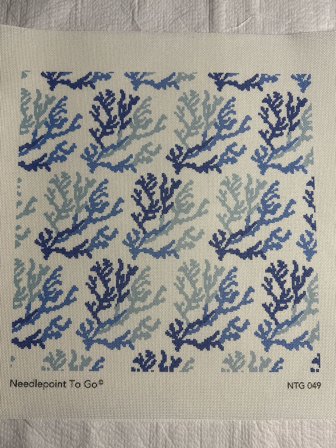 Blue Coral
