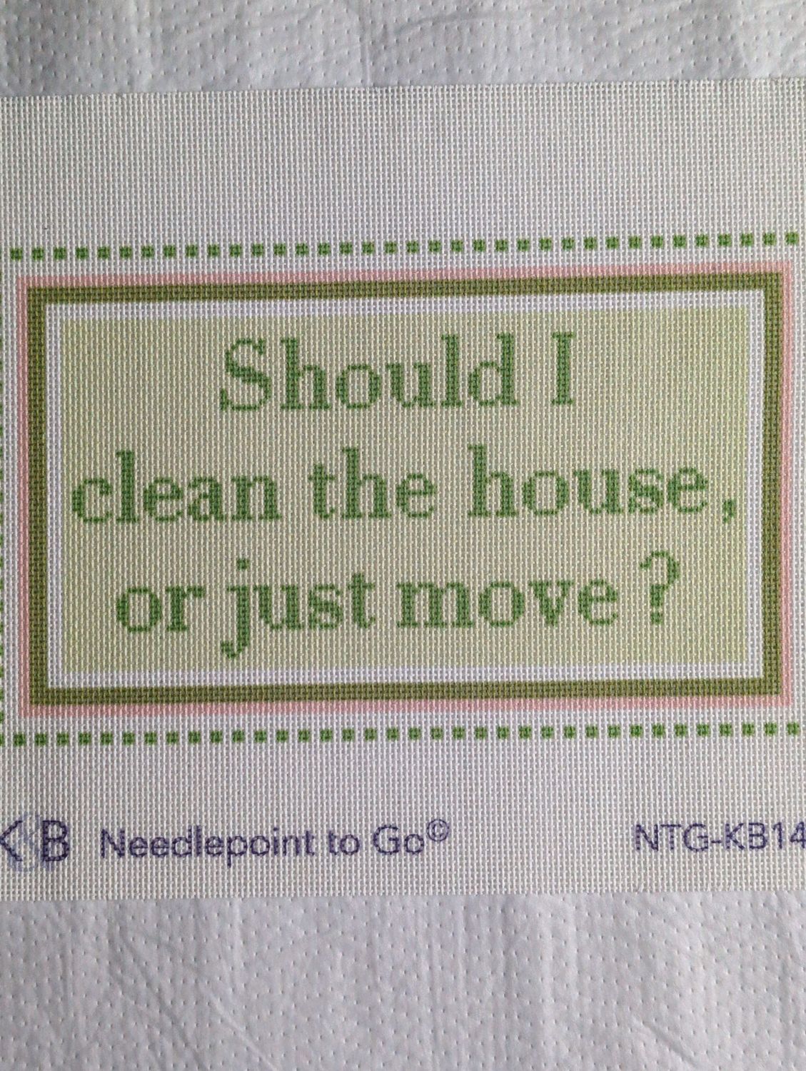 Should I Clean the House or Just Move - Green/Pink