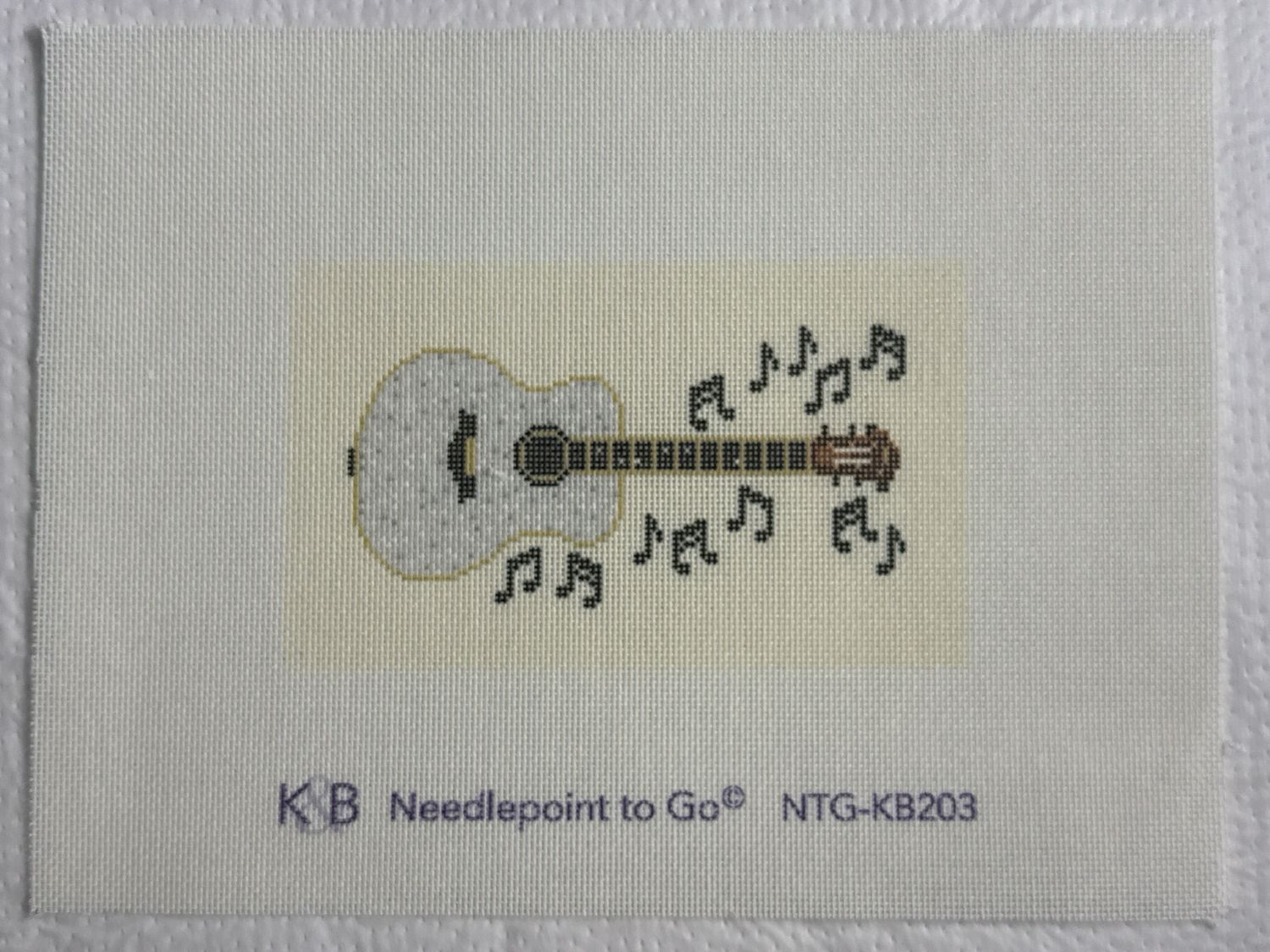 Guitar Insert