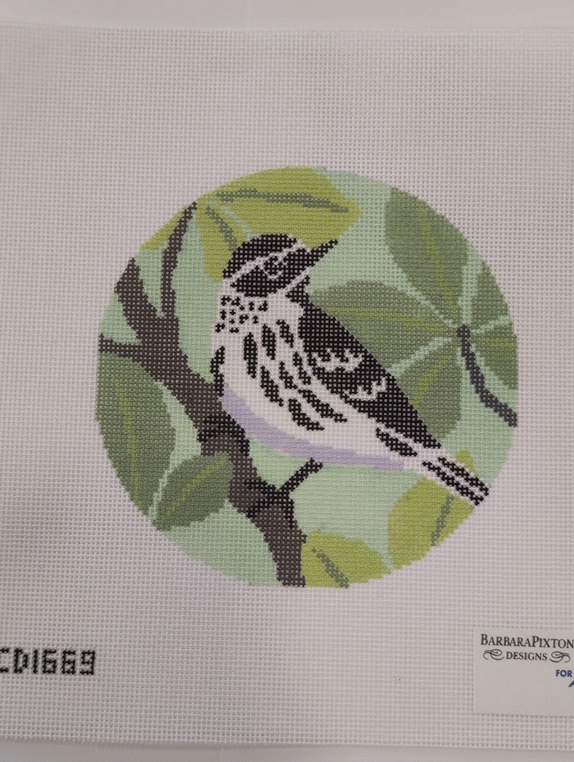 Black and White Warbler