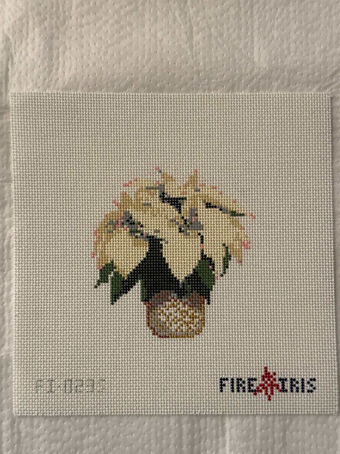 Small white poinsettia