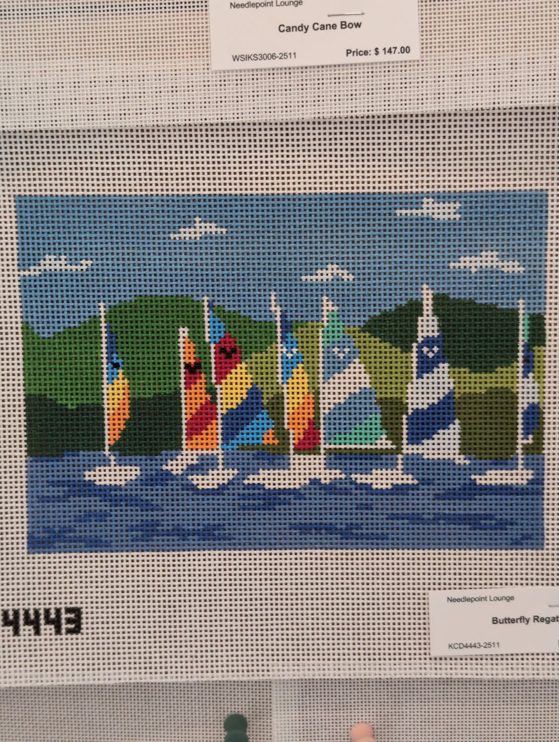 Butterfly Regatta
