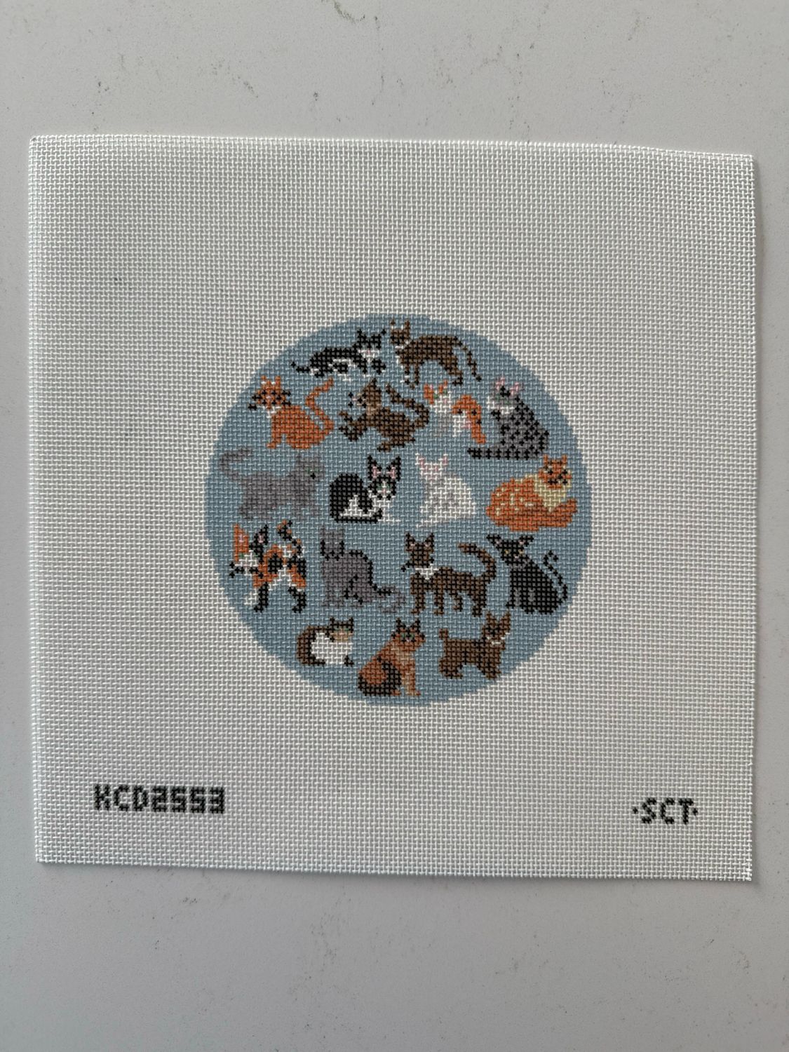 Blue Cat Round Printed Canvas