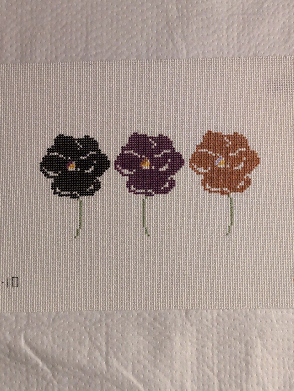Fall Pansy Trio