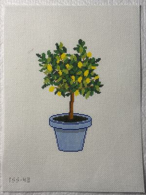 Lemon Tree