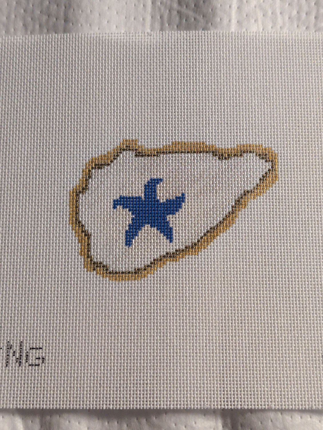 Starfish Oyster Shell