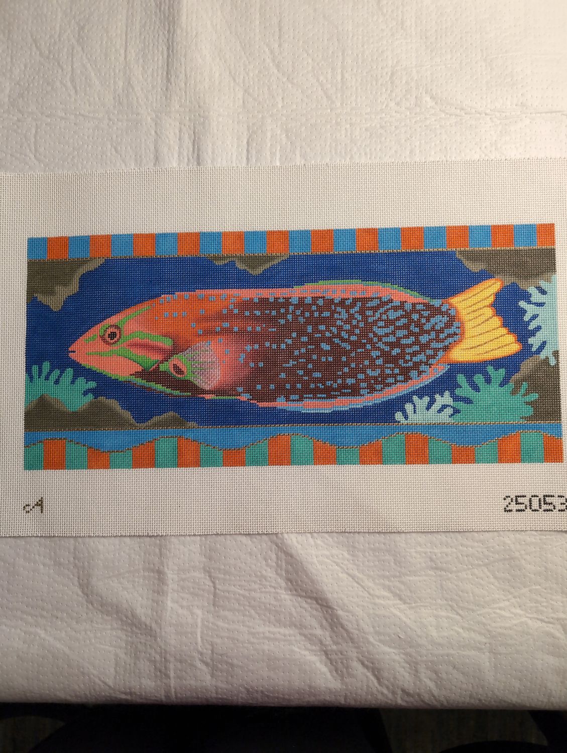 Yellow Tailed Red Fish