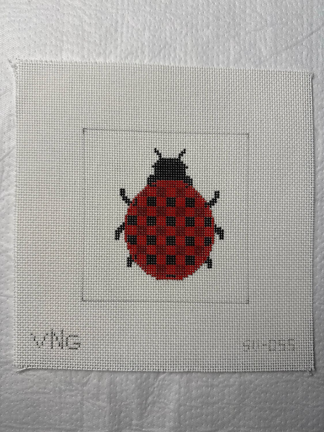 Ladybug Beginner