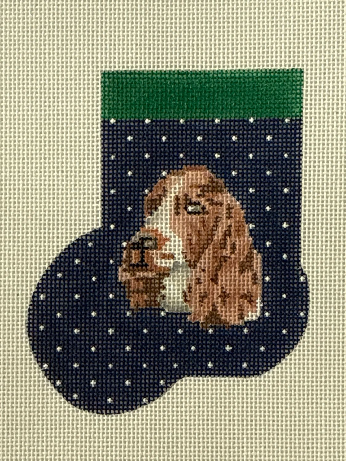 English Springer Spl. Msock