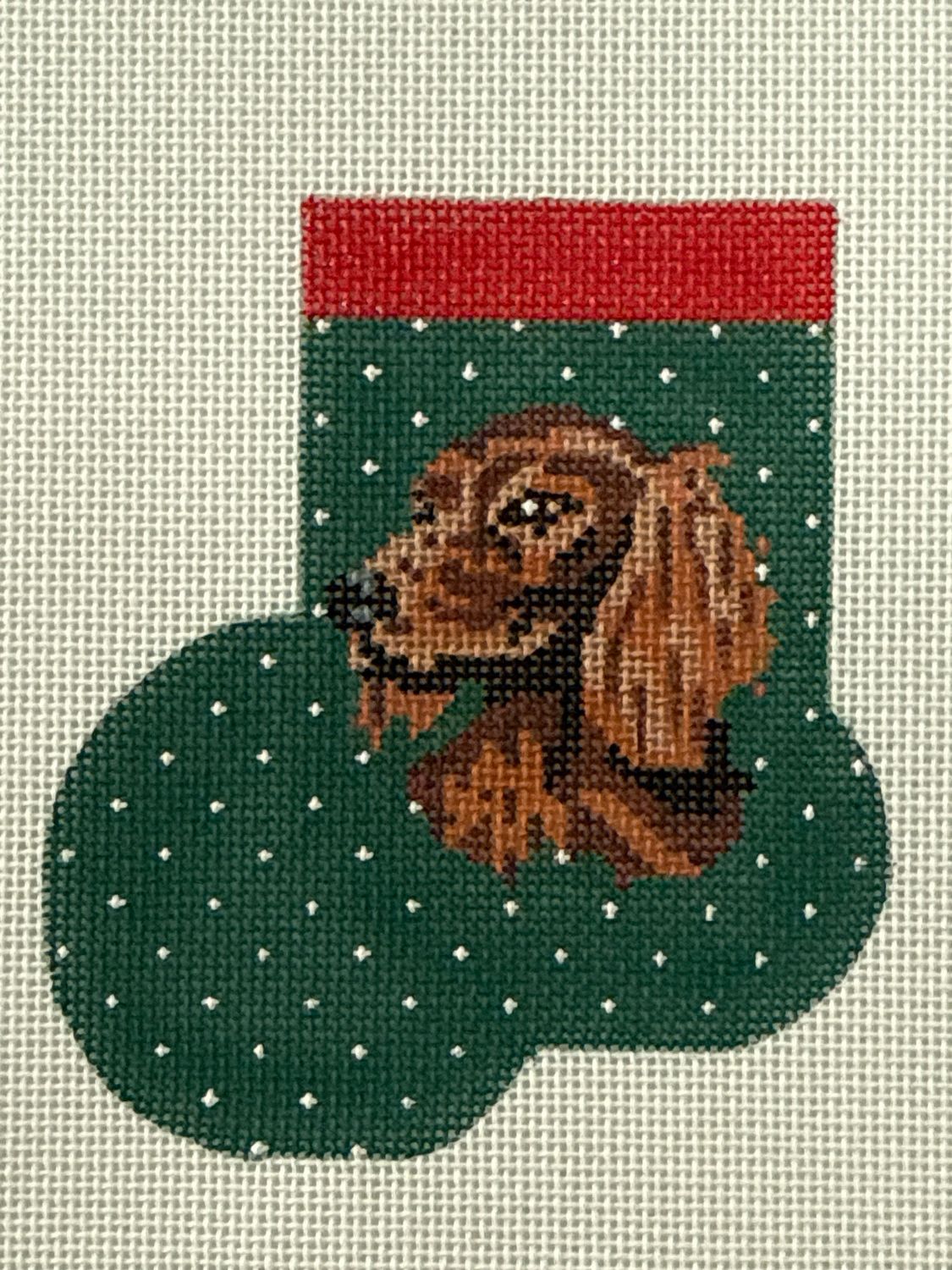 Irish Setter or Long Haired Dachshund