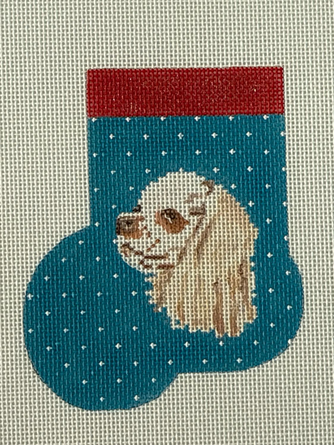 Blenheim Cocker Spaniel Ms