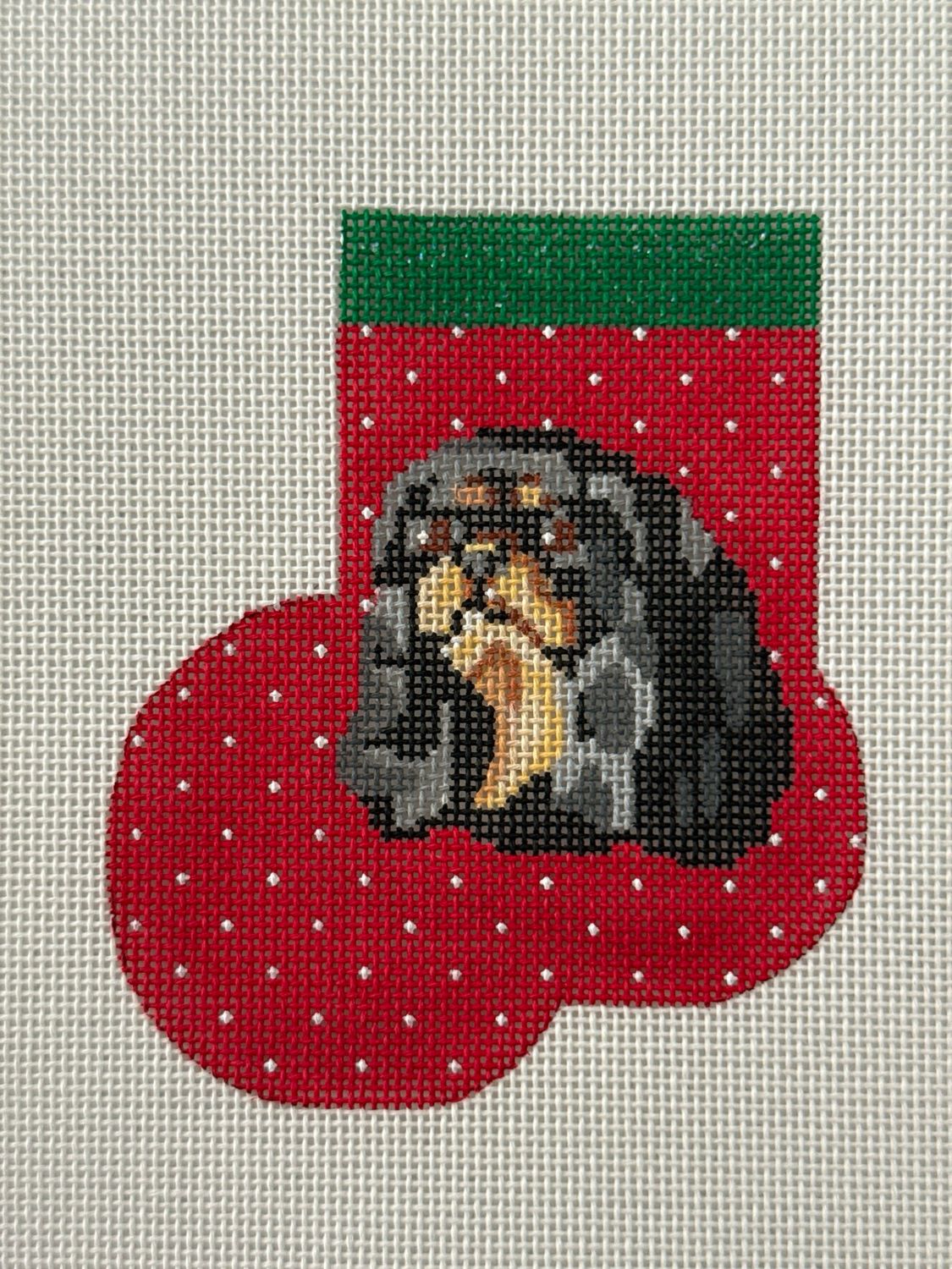 King Charles Cavalier Blk/Tan Mini Sock