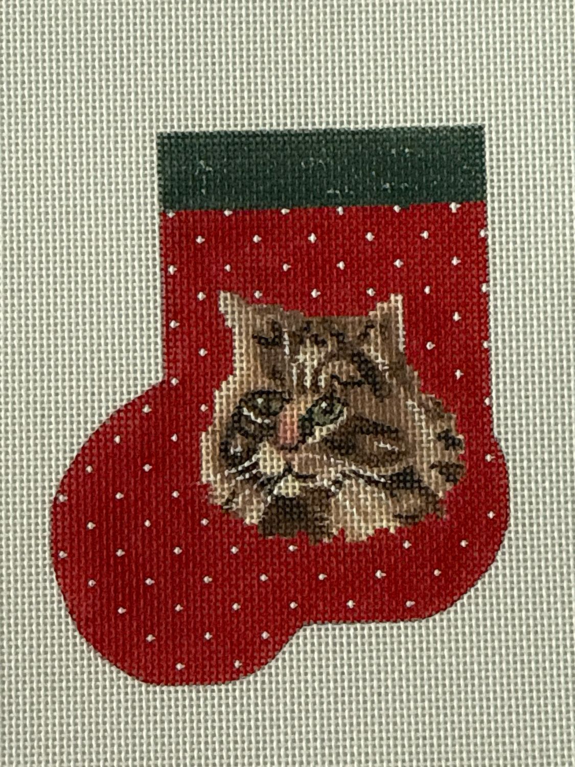 Maine Coon #1 Mini Sock