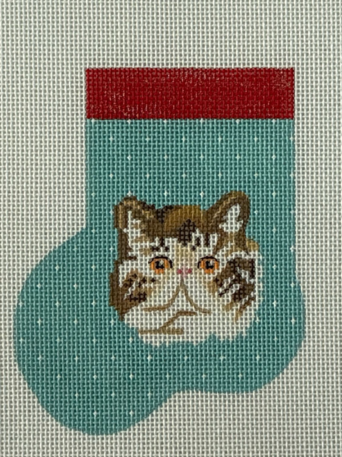 Exotic Shorthair Mini Sock