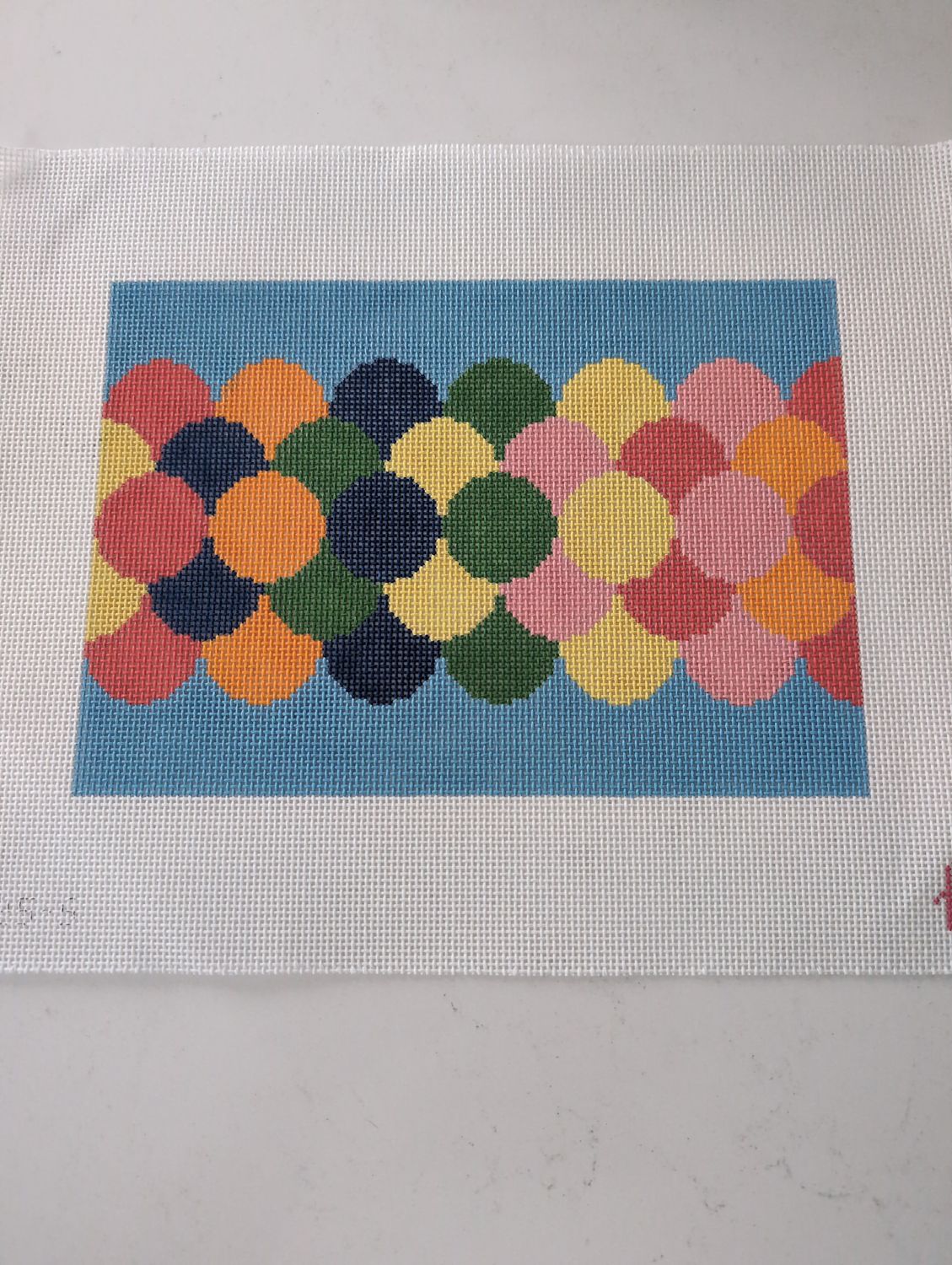 Clamshell Clutch - Spring