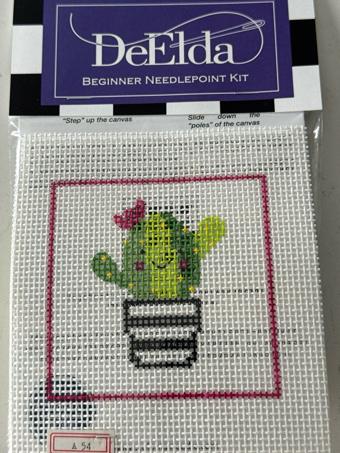 DeElda Succulent Beginner Needlepoint Kit
