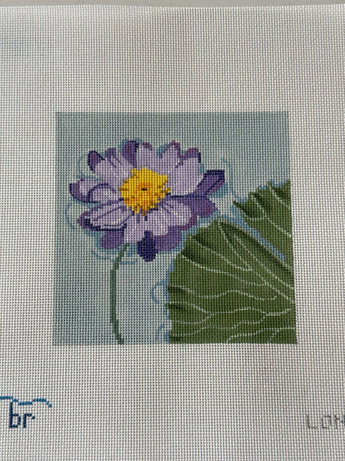 Kew Gardens: Water Lily