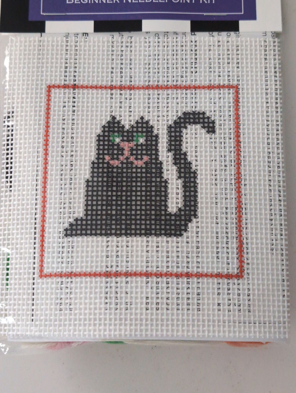 DeElda Black Cat Beginner Needlepoint Kit