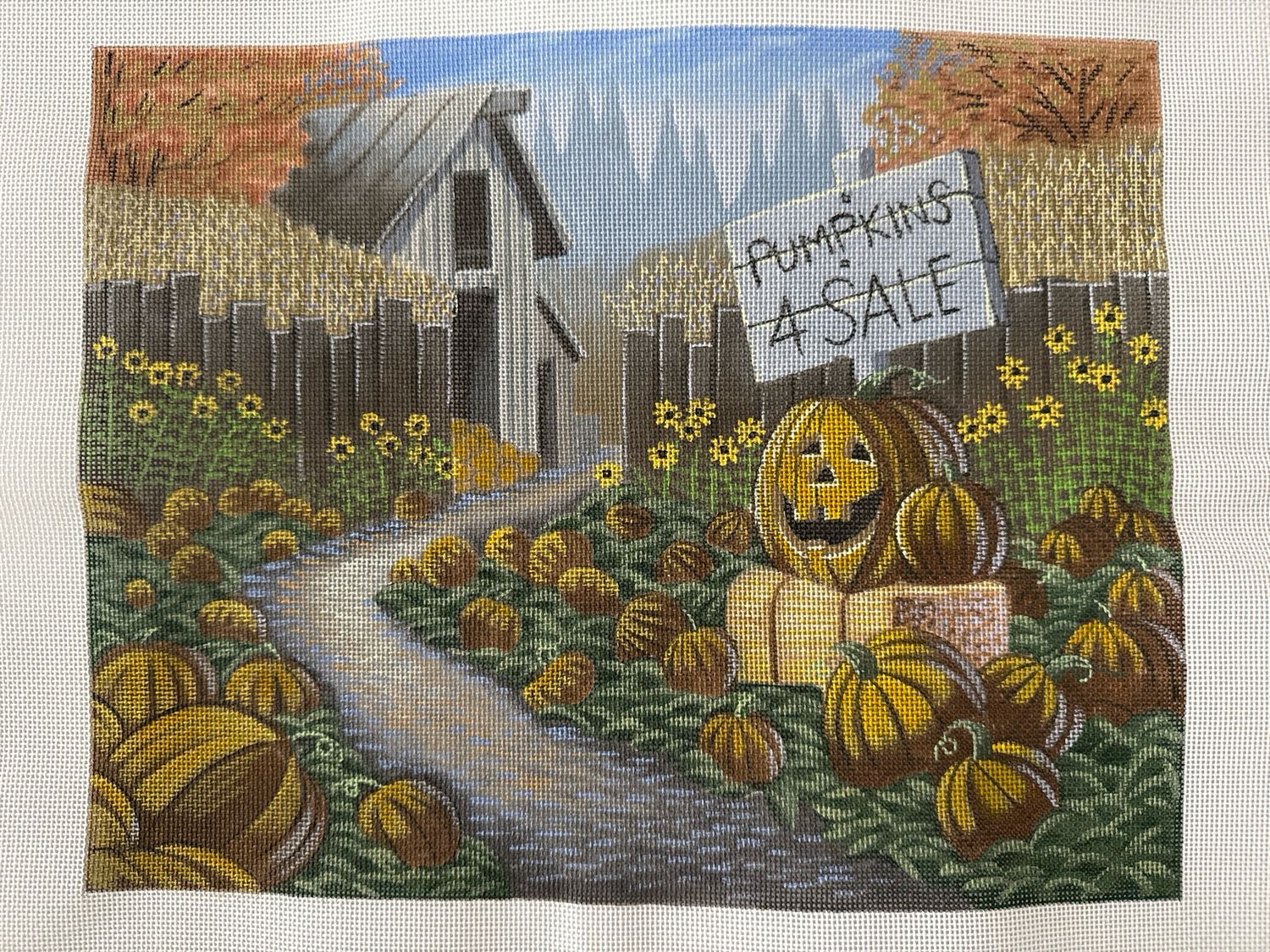 Pumpkin Patch 10 x 12.75 - 18 mesh