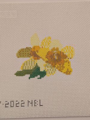 Daffodil