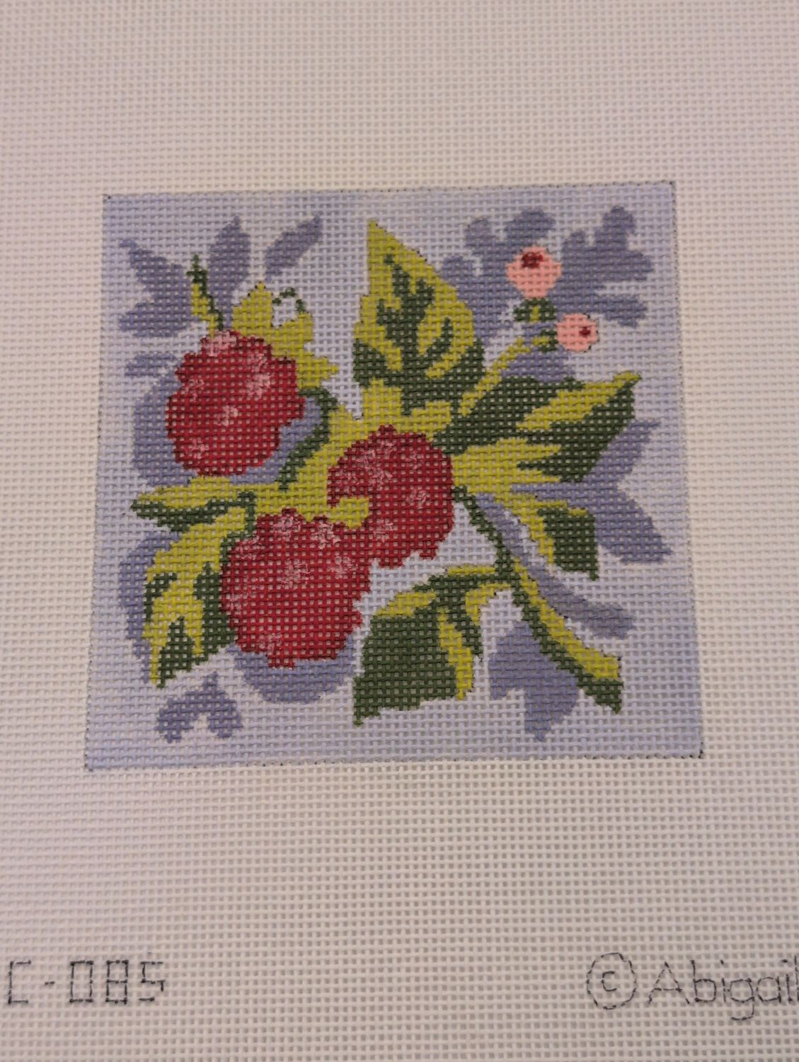 Fruit Square Raspberry