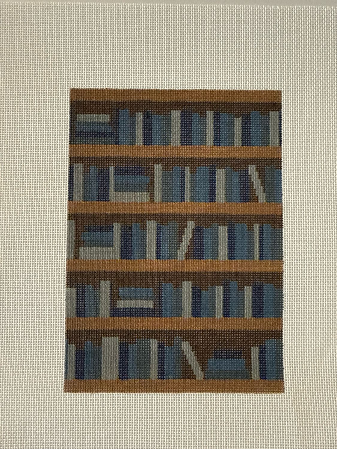 Bookshelf Background (18m)