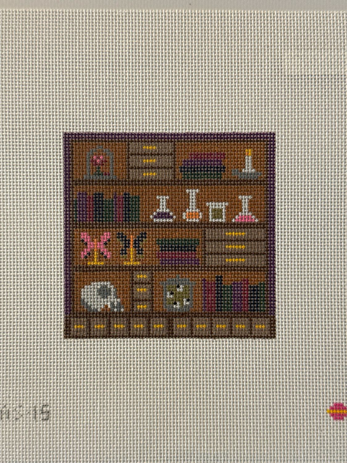 Cabinet of Curiosities