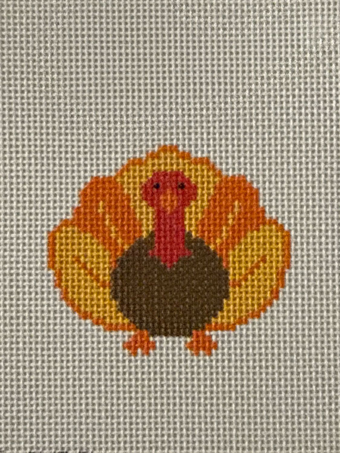 Tiny Turkey (13m)