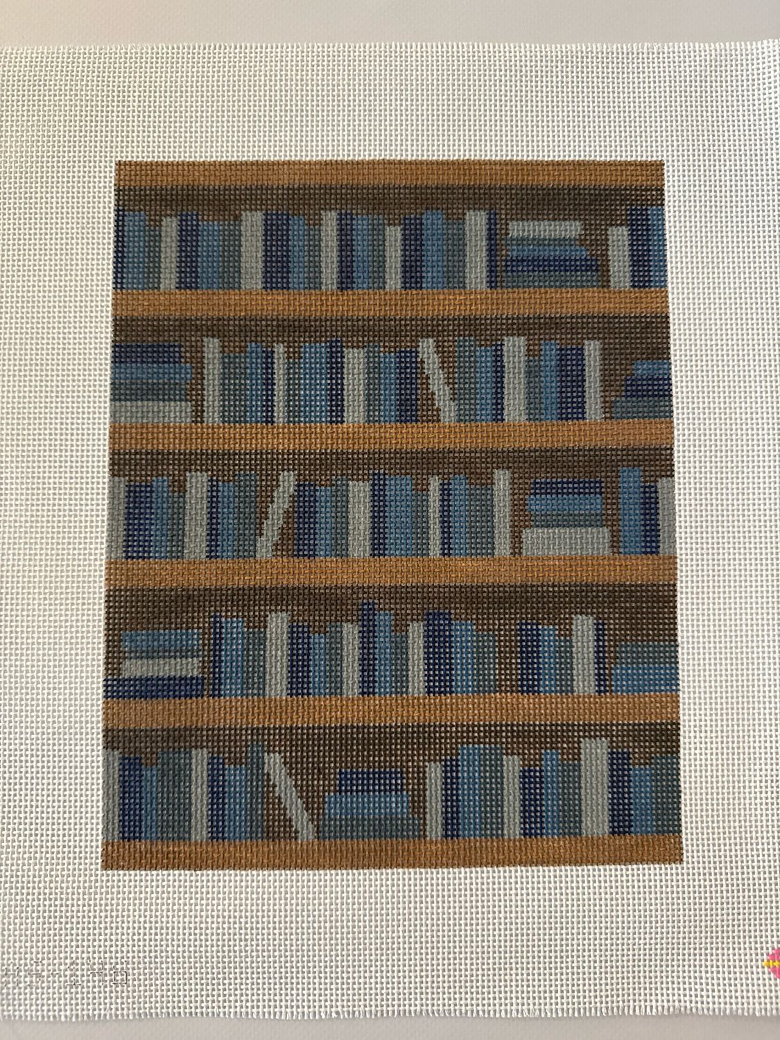 Bookshelf Background (13m)