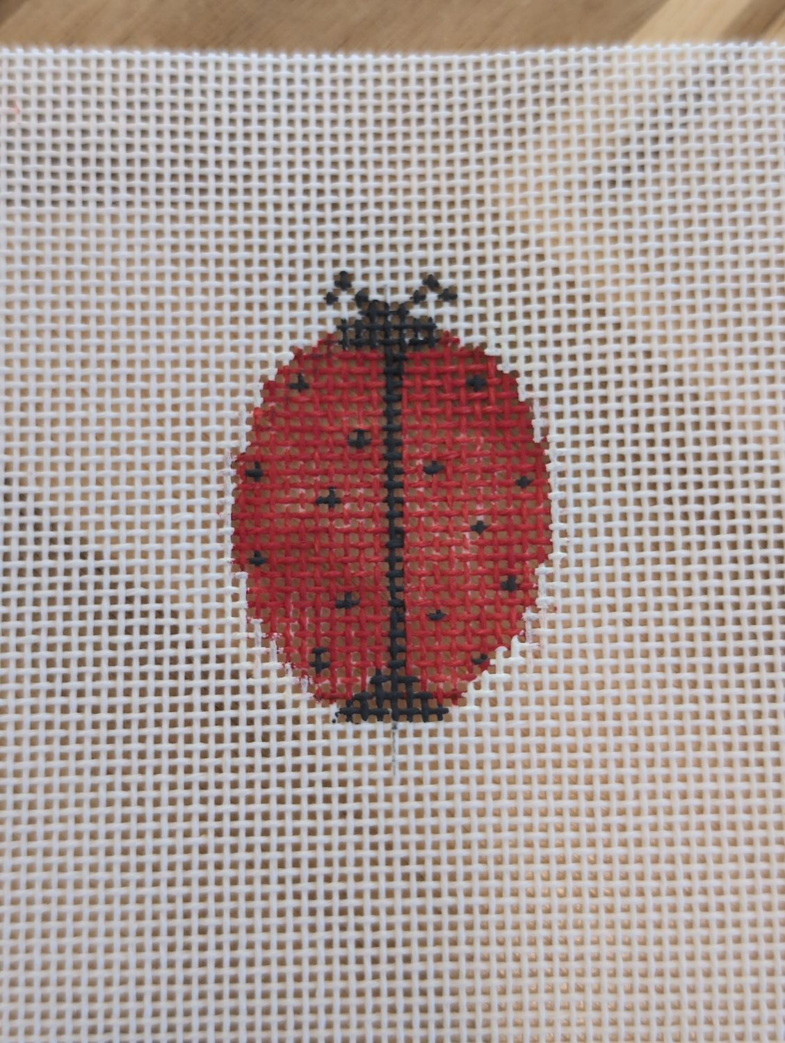 Mini Ladybug