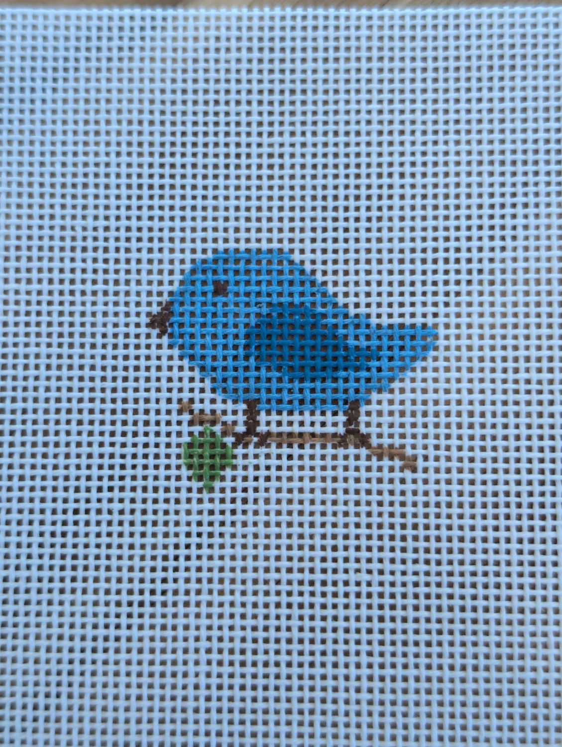 Mini Bluebird